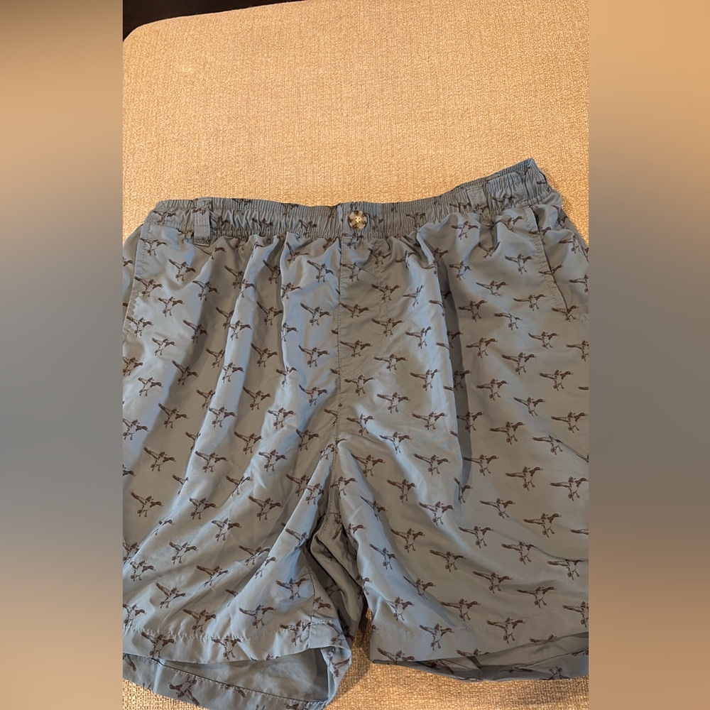Mallard Blue Patterned Shorts - image 1